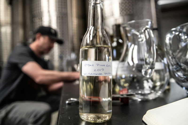 image of the odell wine project white pinot gris blend in a tasting container at the odell wine project production facility