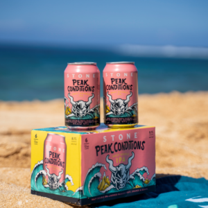 photo of stone brewing peak conditions hazy double ipa on the beach with the ocean in the background